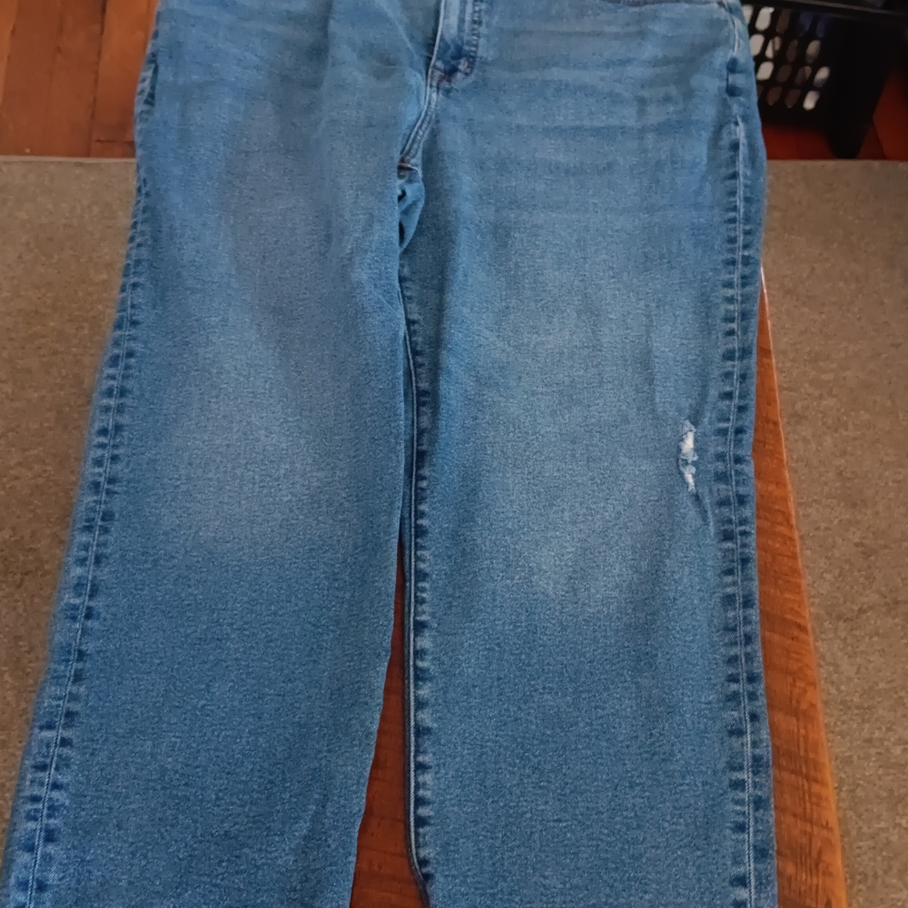 J. Crew Women's Blue Ankle Jeans